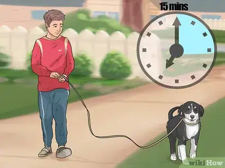 Image titled Exercise Your Puppy Step 10