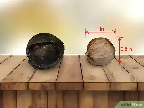 Image titled Identify Hickory Nuts Step 11