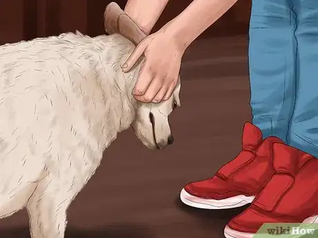 Image titled Determine Where to Get Your Dog Step 6