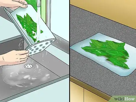 Image titled Eat Chicory Step 1