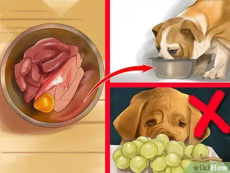 Image titled Feed Your Senior Dog a Healthy Diet Step 7