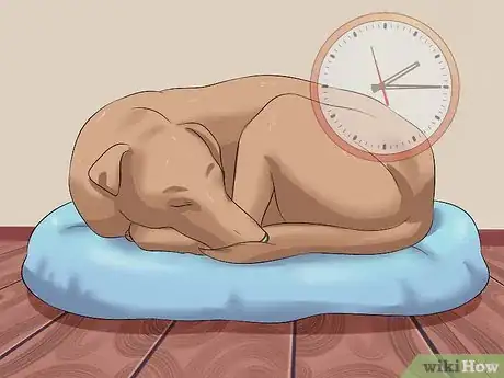 Image titled Tame a Dog Step 16