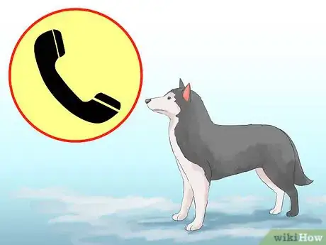 Image titled Get Started Dog Mushing Step 10