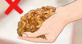 Get Rid of Mites in Your Hamster's Cage