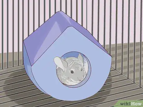 Image titled Give a Chinchilla a Dust Bath Step 17