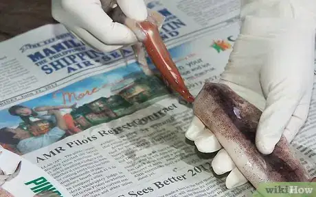 Image titled Clean and Prepare a Squid to Make Calamari Step 3