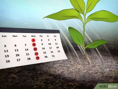 Image titled Grow Flowering Dogwood Step 12