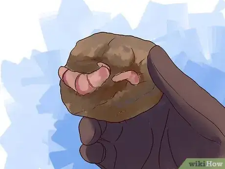 Image titled Grow Begonias Step 13