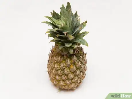 Image titled Buy and Store Fresh Pineapple Step 1