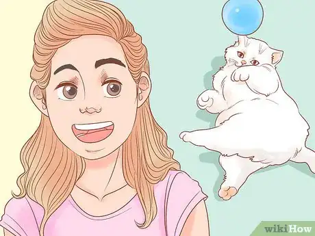 Image titled Choose Between Getting a Kitten or Adult Cat Step 1