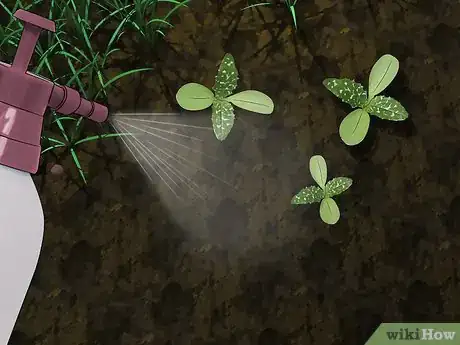 Image titled Root Out Thistles Step 8