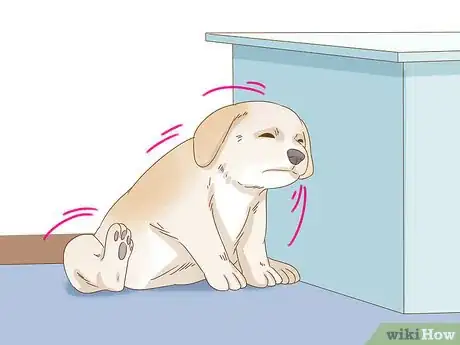 Image titled Treat Seasonal Allergies in Dogs (Home Remedies) Step 10