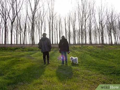 Image titled Celebrate an Irish Christmas Step 4