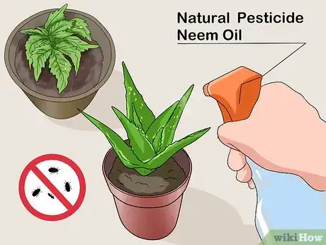 Image titled Fix Common Indoor Herb Garden Problems Step 12