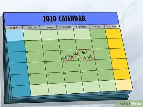 Image titled Identify and Help Feral and Stray Cats Step 11