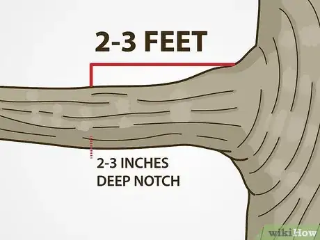 Image titled Trim Trees Step 7