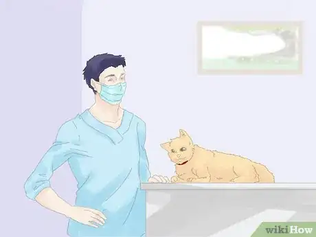 Image titled Keep a Cat from Running Away when It Is Moved Step 1