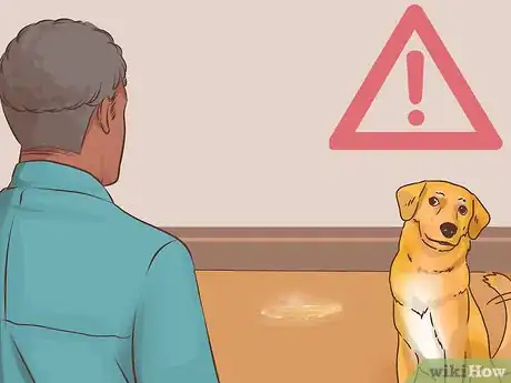 Image titled Know if Your Older Dog Suffers from Separation Anxiety Step 6