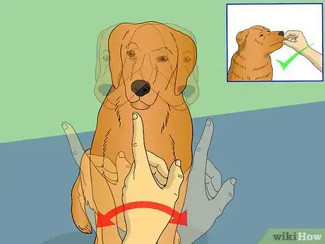 Image titled Train Your Dog to Shake Its Head Step 7