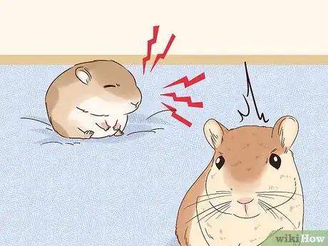 Image titled Understand Gerbil Vocalizations Step 5