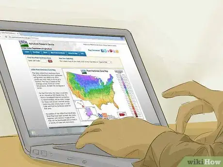 Image titled Choose Outdoor Hanging Plants Step 5