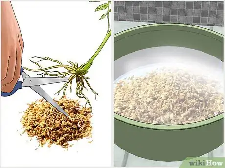Image titled Grow Valerian Step 15