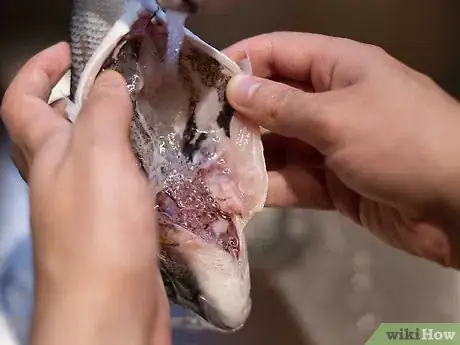 Image titled Cook Sea Bream Step 5