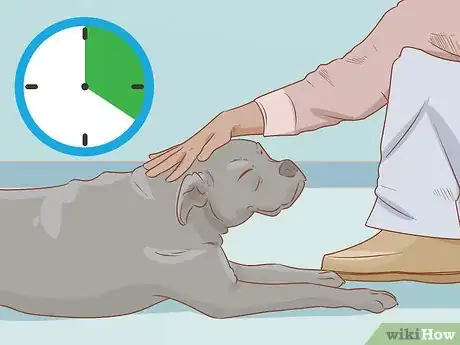 Image titled Teach Your Dog to Duck Step 7