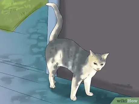 Image titled Deal With Cat Allergies Step 13