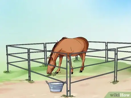 Image titled Be Comfortable Around a Bad‐Tempered Horse Step 8