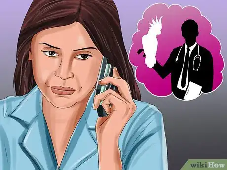 Image titled Treat Bumblefoot in Cockatoos Step 1