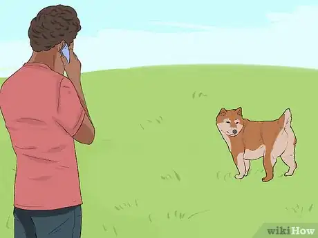 Image titled Help Dogs in Need Step 11