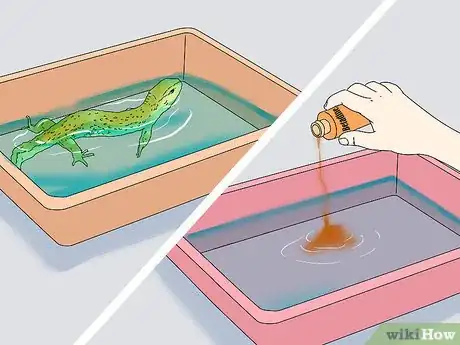 Image titled Give a Lizard a Bath Step 12