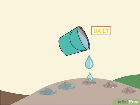 Image titled Grow Lanzones Step 5