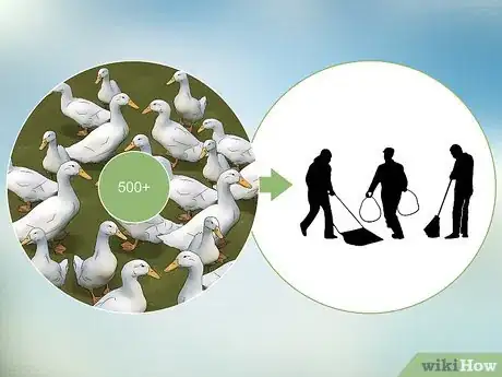 Image titled Be a Poultry Farmer Step 11
