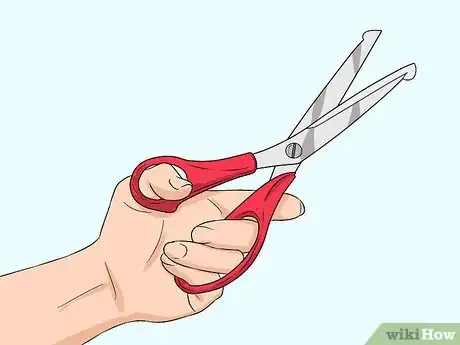 Image titled Groom Lories and Lorikeets Step 11