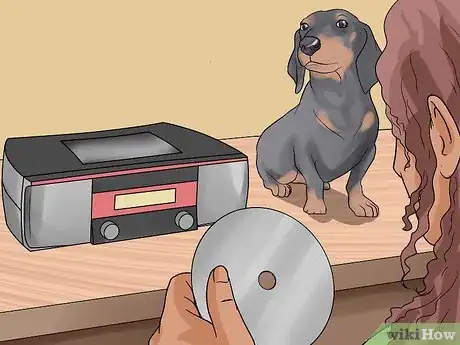 Image titled Help a Dog Overcome a Fear of Fireworks or Thunder Step 10