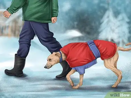 Image titled Care for Your Dog in the Winter Step 10