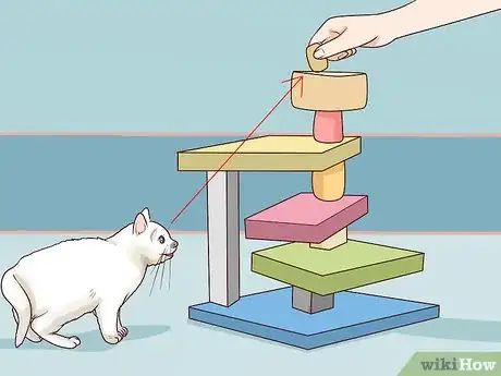 Image titled Train a Cat to Stop Fearing Sudden Movements Step 6