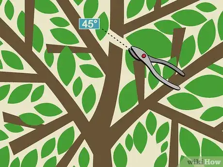 Image titled Prune Guava Trees Step 7