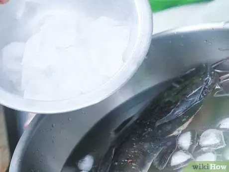 Image titled Freeze Fish Step 2