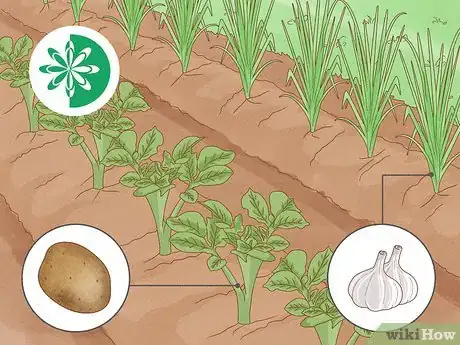 Image titled Grow a Spring Garden Step 10