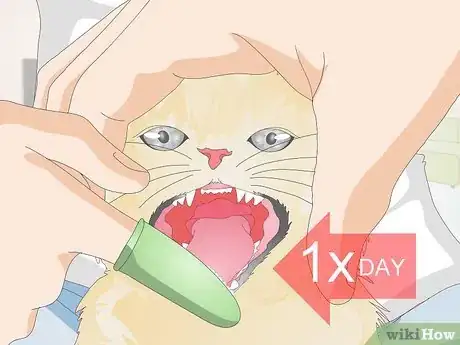 Image titled Prevent Feline Dental Disease Step 5