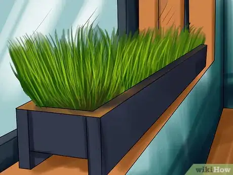 Image titled Give Cat Grass to a Cat Step 13