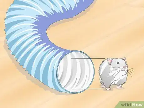 Image titled Train a Hamster to Run Through Tunnels Step 7