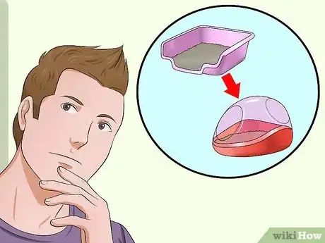 Image titled Toilet Train a Hamster Step 13