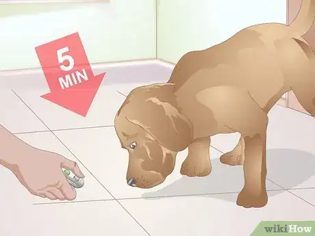 Image titled Clicker Train a Dog to Bow Step 10