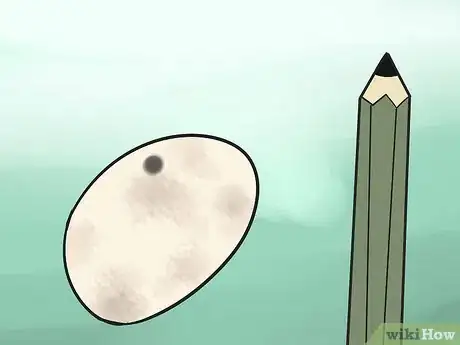 Image titled Take Care of Lizard Eggs Step 5