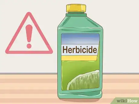 Image titled Harvest Kudzu Step 17