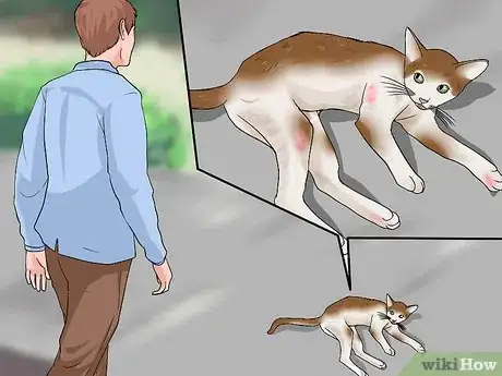 Image titled Approach an Injured Animal Step 5